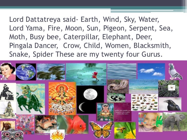 24 gurus of dattatreya